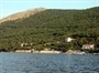 Šparadići
