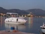 Šparadići