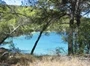 Šparadići