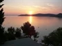 Šparadići