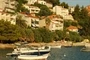 Stanići