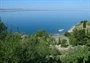 Starigrad