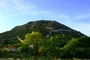 Ston
