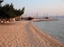 Sumpetar