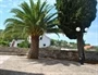 Hvar - Svirče