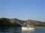 Tri Žala