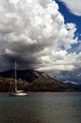 Tri Žala