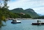 Trstenik
