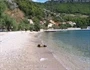 Trstenik