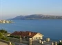 Vidalići