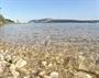 Vidalići
