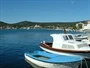 Vinišće
