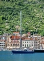 Vis