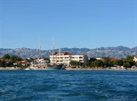 Vrsi