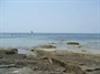Zambratija