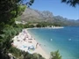 Živogošće - Blato
