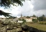 Žminj
