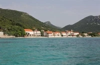 Žuljana