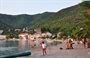 Žuljana
