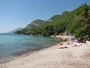 Žuljana