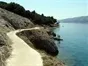 Vidalići